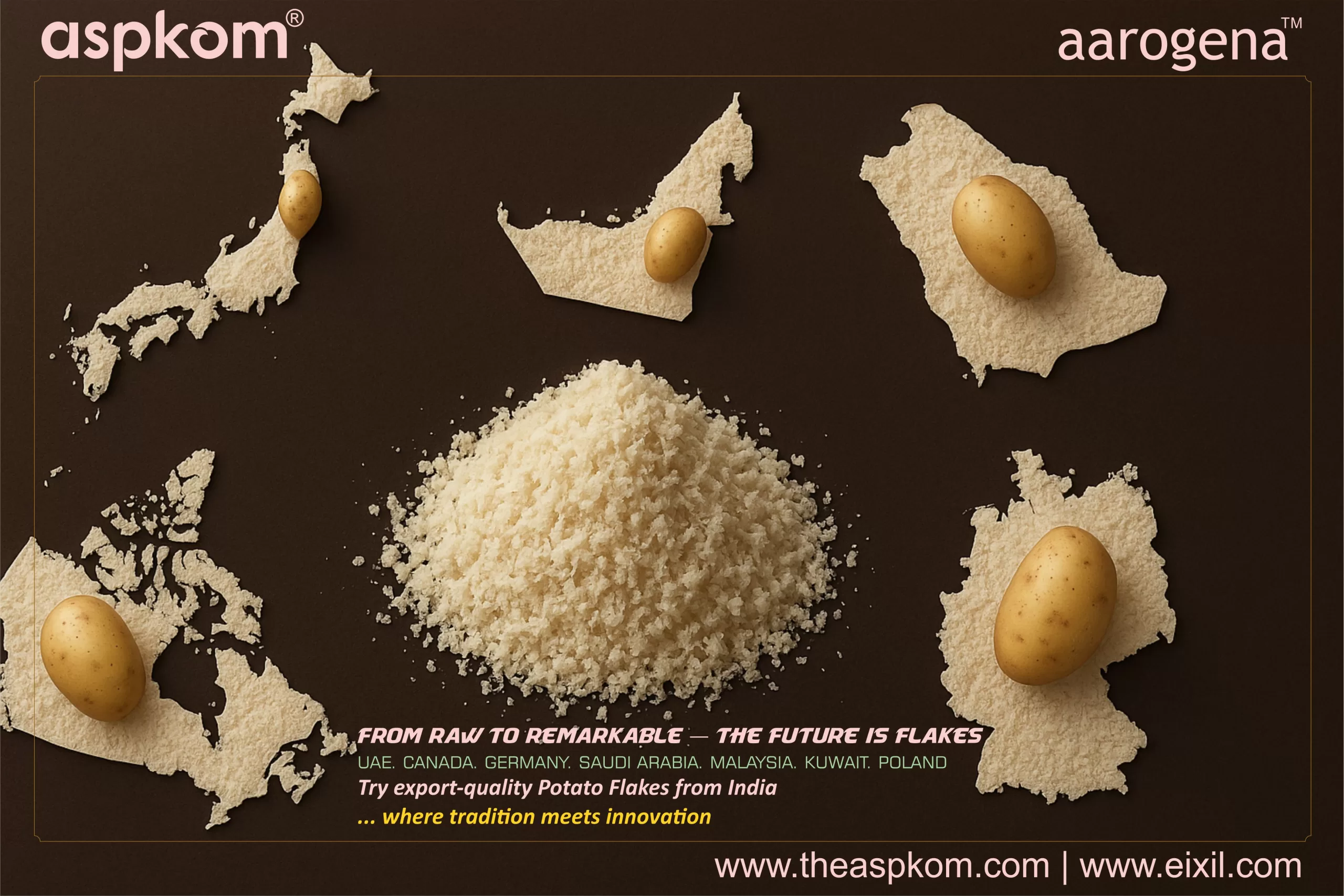 Global Demand for Indian Potato Flakes Export – AspKom® Quality