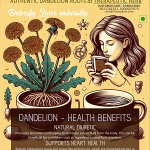 Dandelions Root (100g) - Raw Organic Himalayan Singhpani Jad - Dandellion