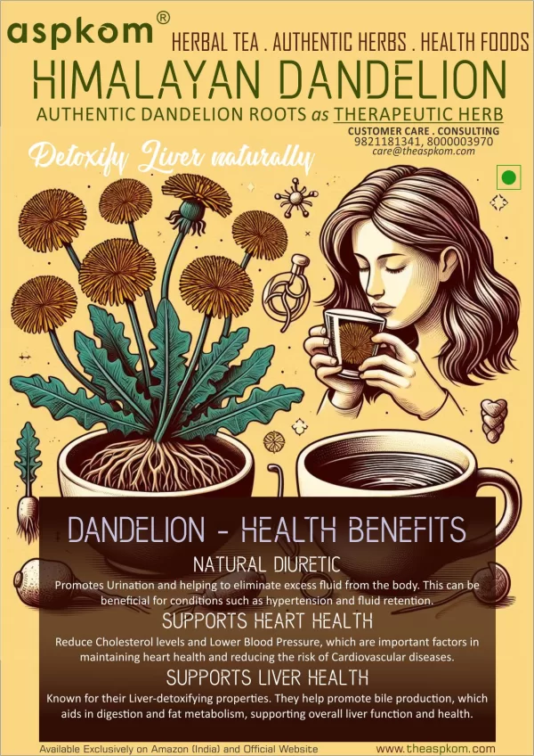 Dandelions Root (100g) - Raw Organic Himalayan Singhpani Jad - Dandellion